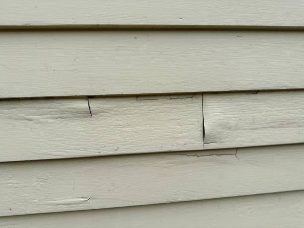 Best Custom Trim and Detailing for Siding  in Four Square Mile, CO